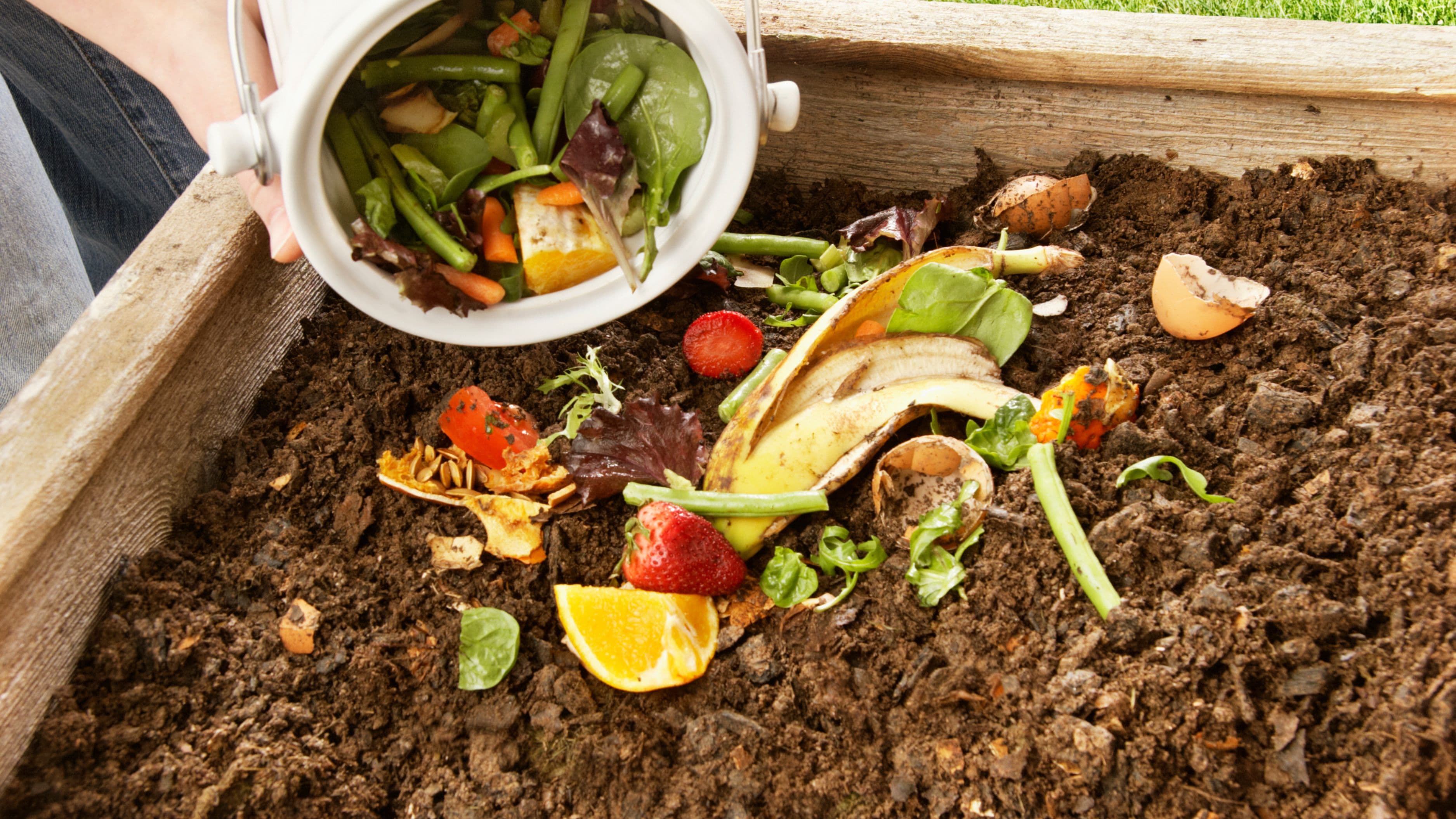 The Beginner's Guide to Composting at Home Without the Mess