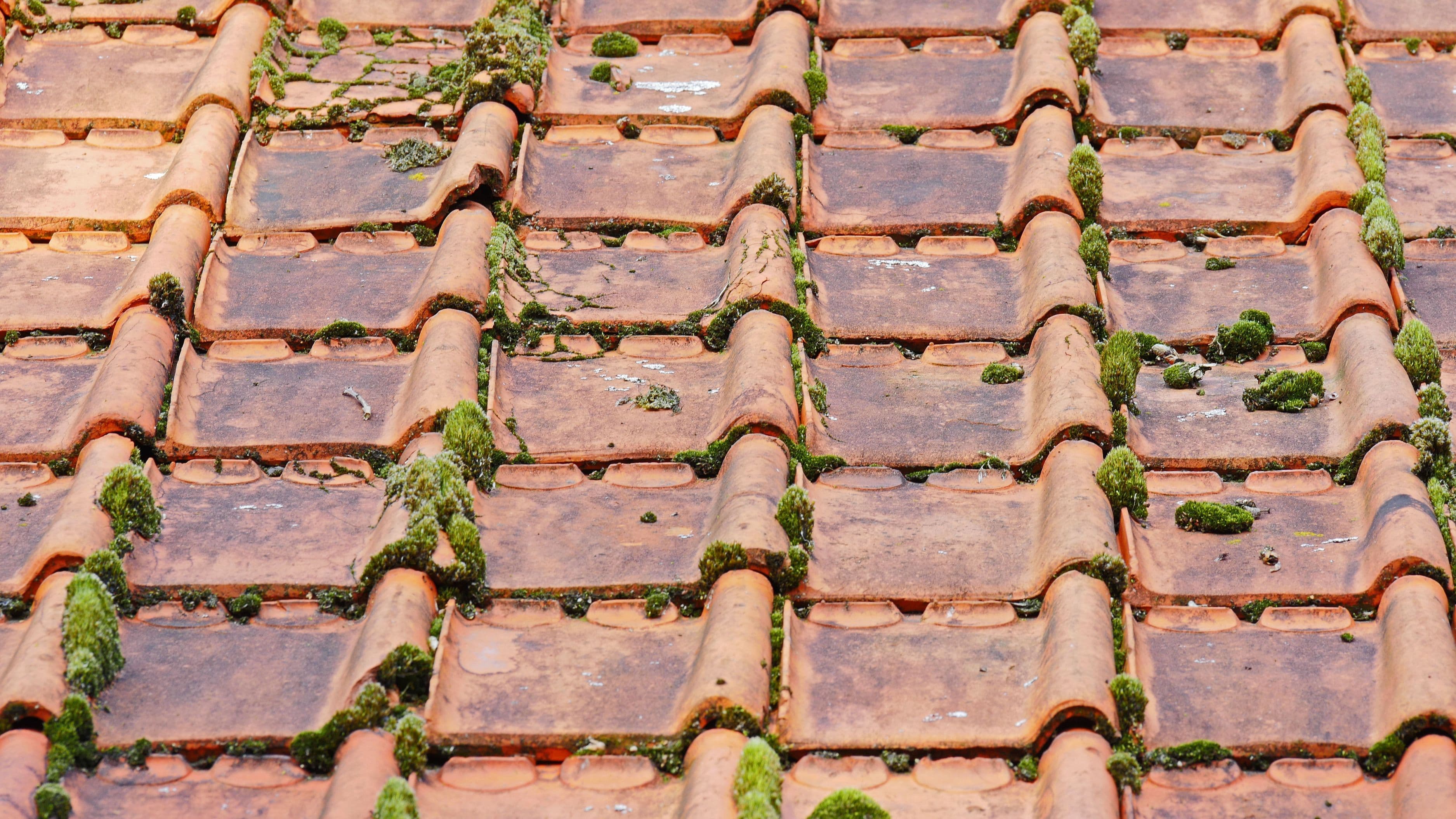 How to Remove Moss and Stains From Your Roof Safely